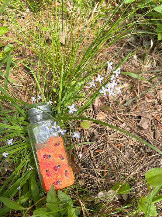 Ladybug Large Spice Jar